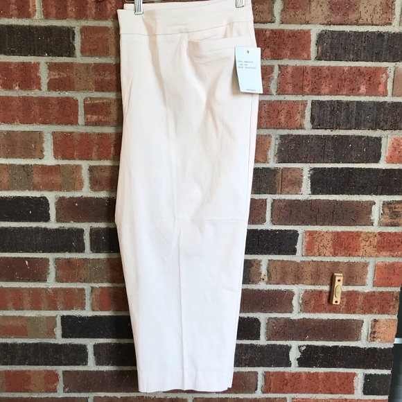 zac & rachel plus size pants